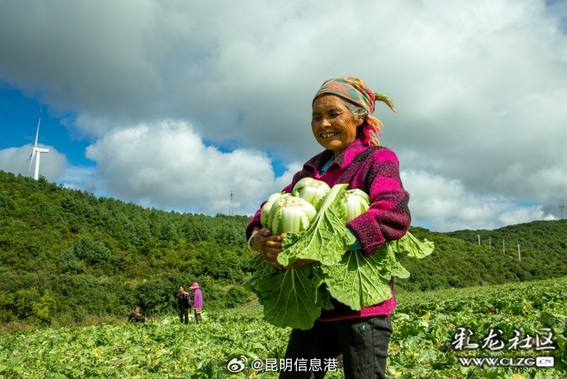 昆明信息港微博