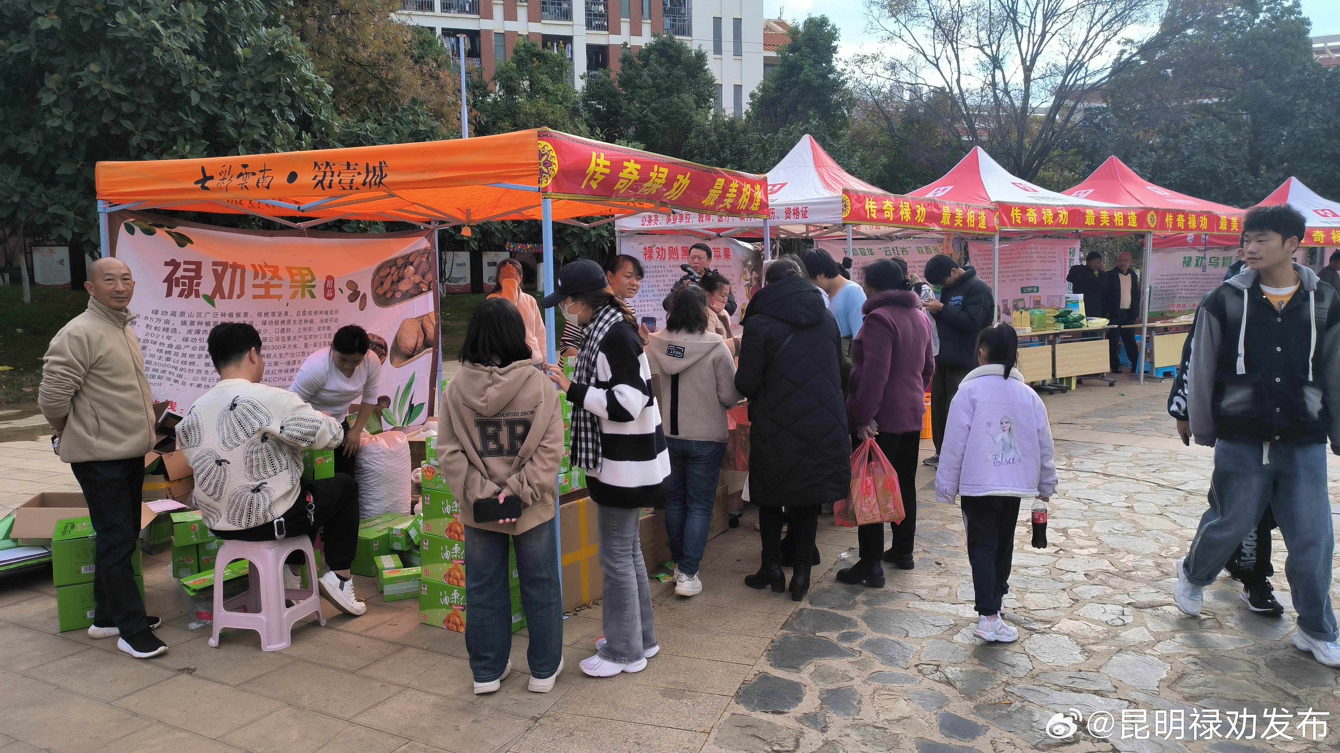 昆明禄劝发布