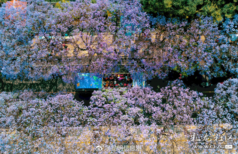 昆明信息港微博