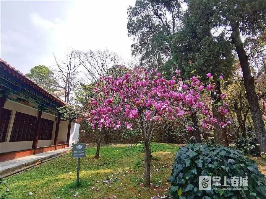 昆明文旅