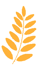 昆明公共文化云