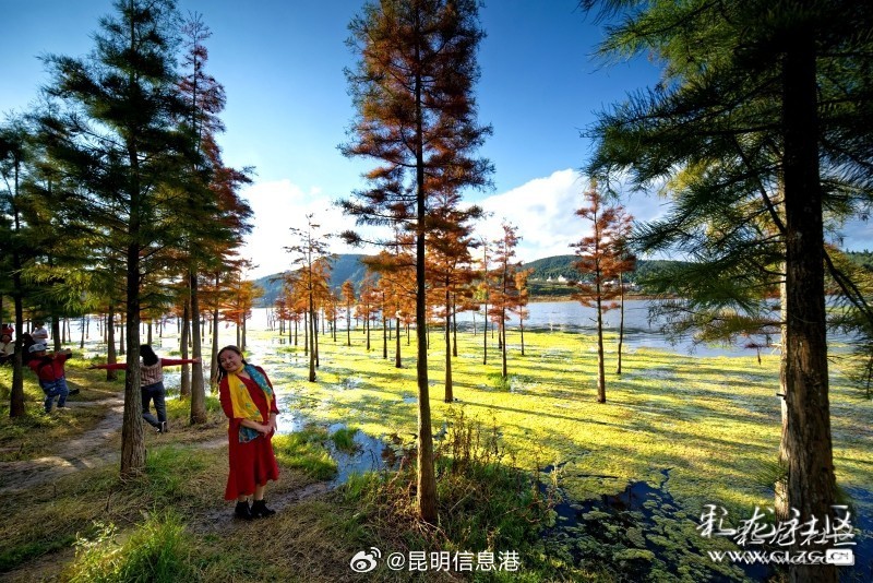 昆明信息港微博