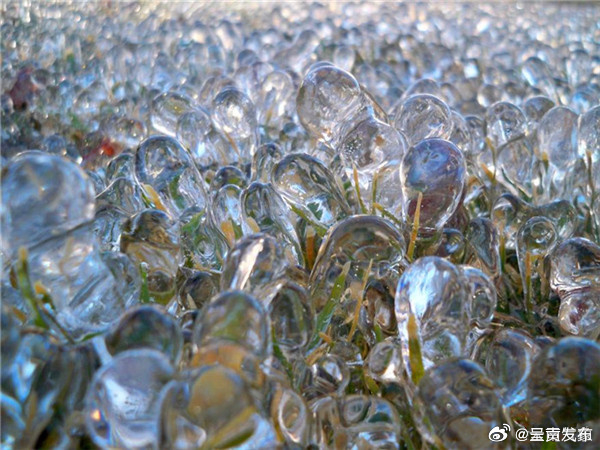 什么是冻雨，冻雨是怎么形成的？