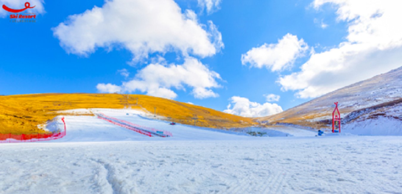 云南省文化和旅游厅