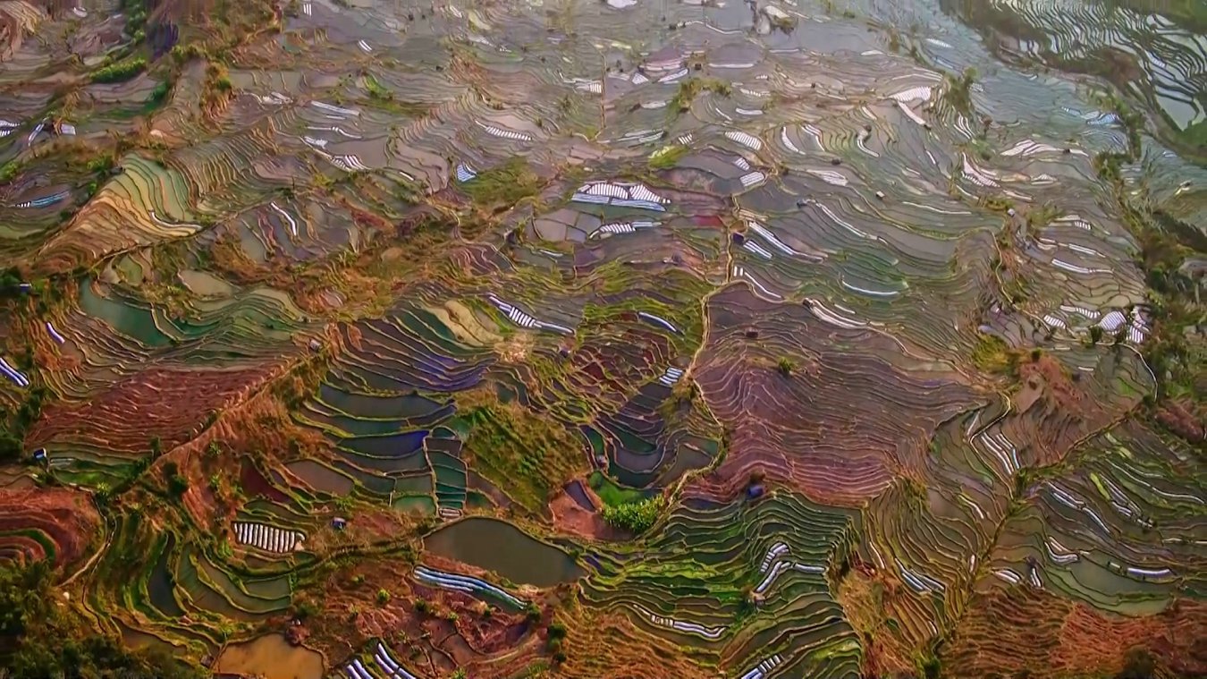 云南省文化和旅游厅