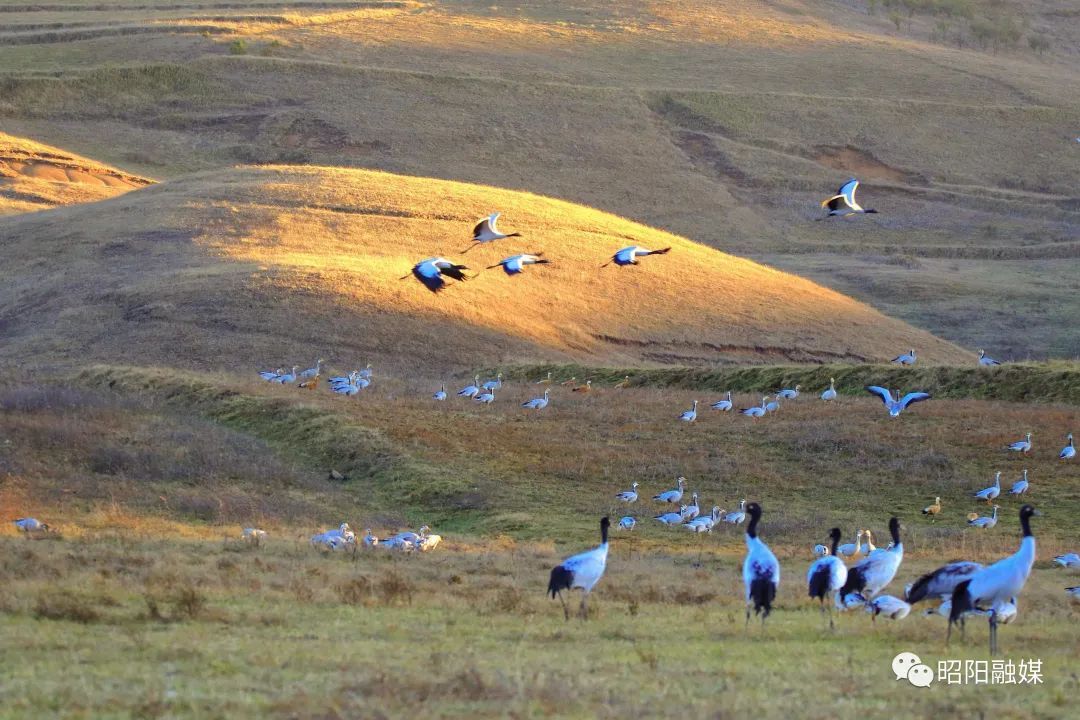 云南省文化和旅游厅