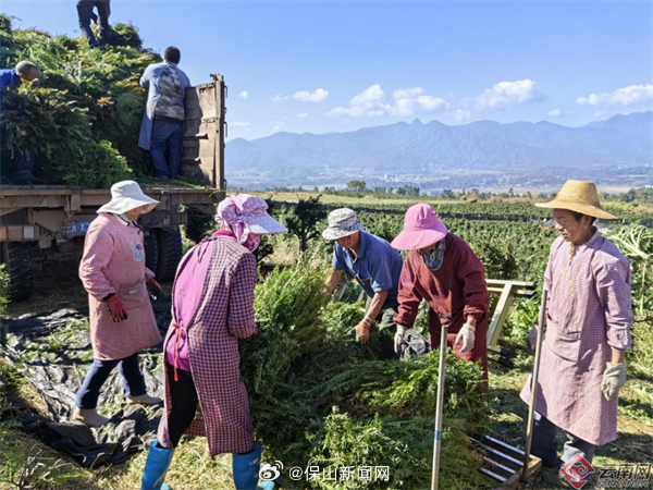 保山新闻网
