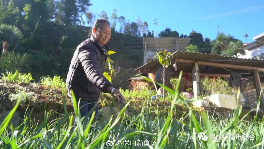 保山新闻网