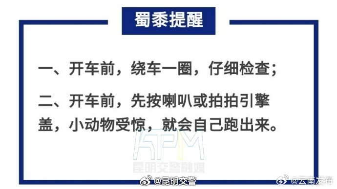 关爱流浪动物！冬天车底容易“长猫”_http://www.mainten.cn_cns_第2张