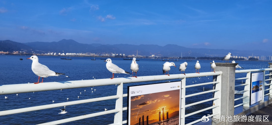 滇池旅游度假区