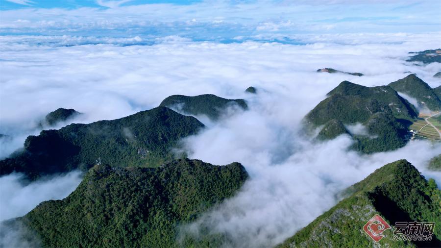 云南省文化和旅游厅