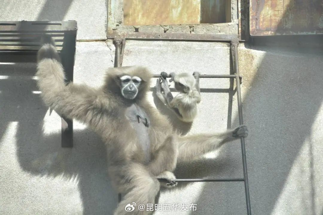 昆明五华发布