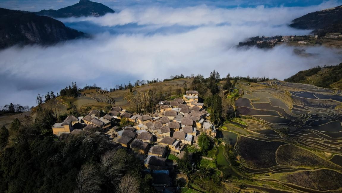 云南省文化和旅游厅