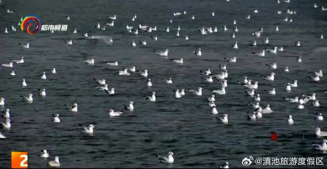 滇池旅游度假区