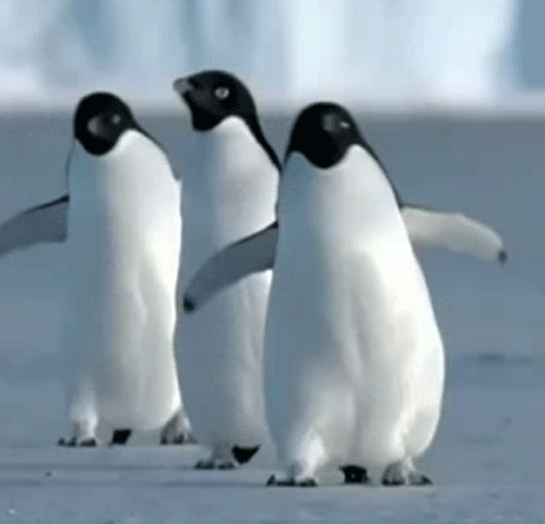 走路快其实是个健康优势