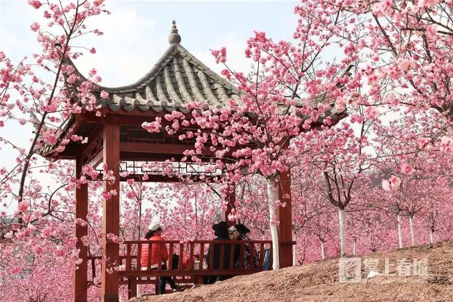 昆明文旅