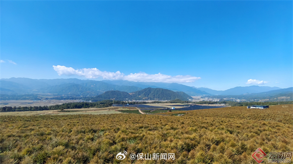 保山新闻网