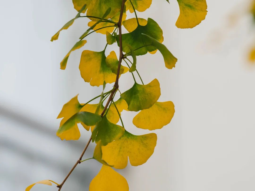 晋宁诗意的栖居地