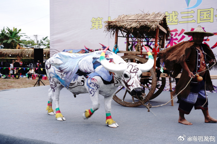 嵩明发布