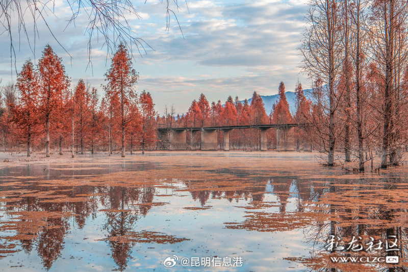 昆明信息港微博