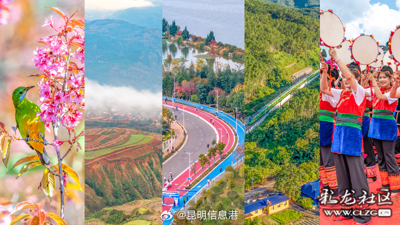 昆明信息港微博