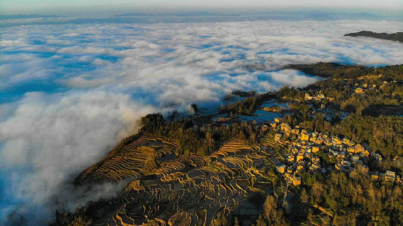 云南省文化和旅游厅