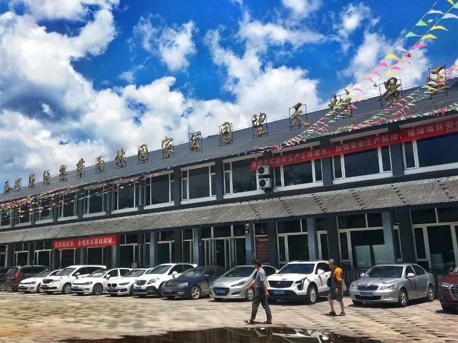 西双版纳望天树景区