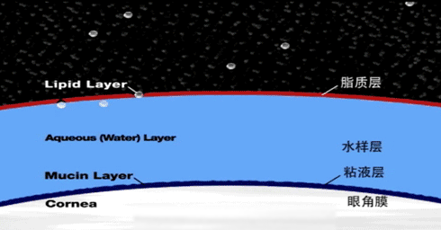 眼睛其实自带洗眼液