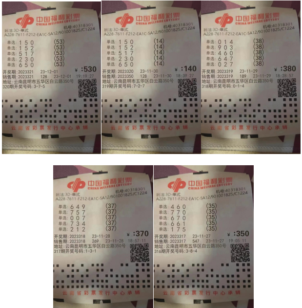 大理日报