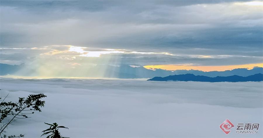 云南省文化和旅游厅