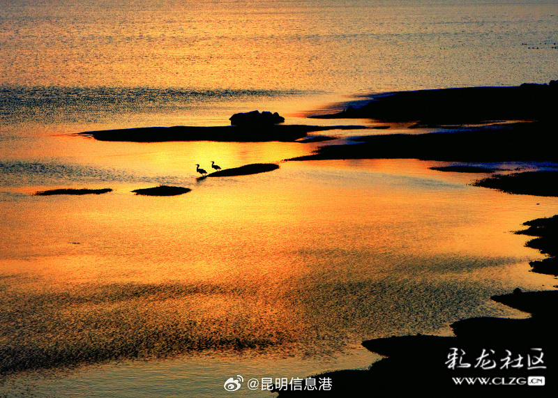 昆明信息港微博