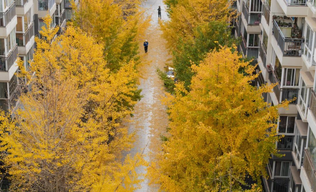 晋宁诗意的栖居地