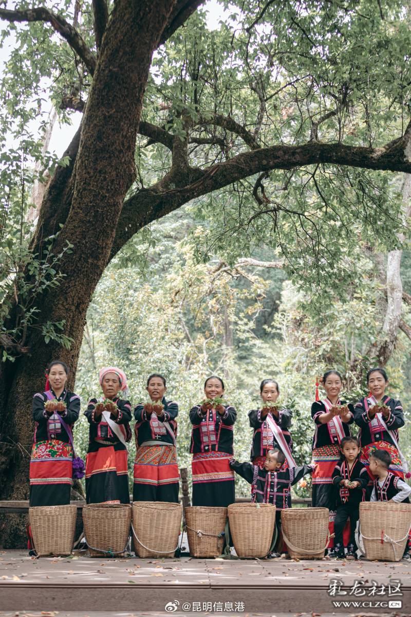 昆明信息港微博