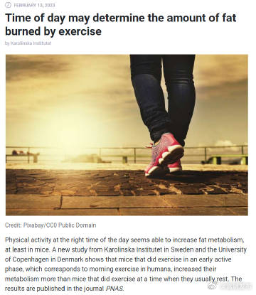 早上运动更有助燃脂 