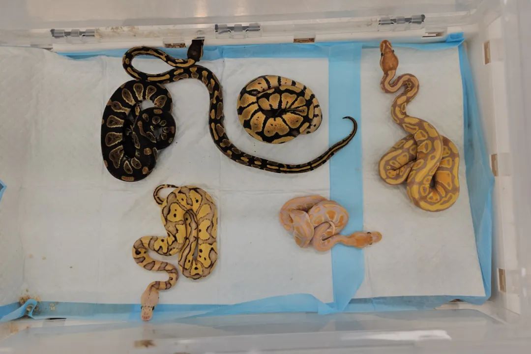 昆明信息港/cnkmxxg