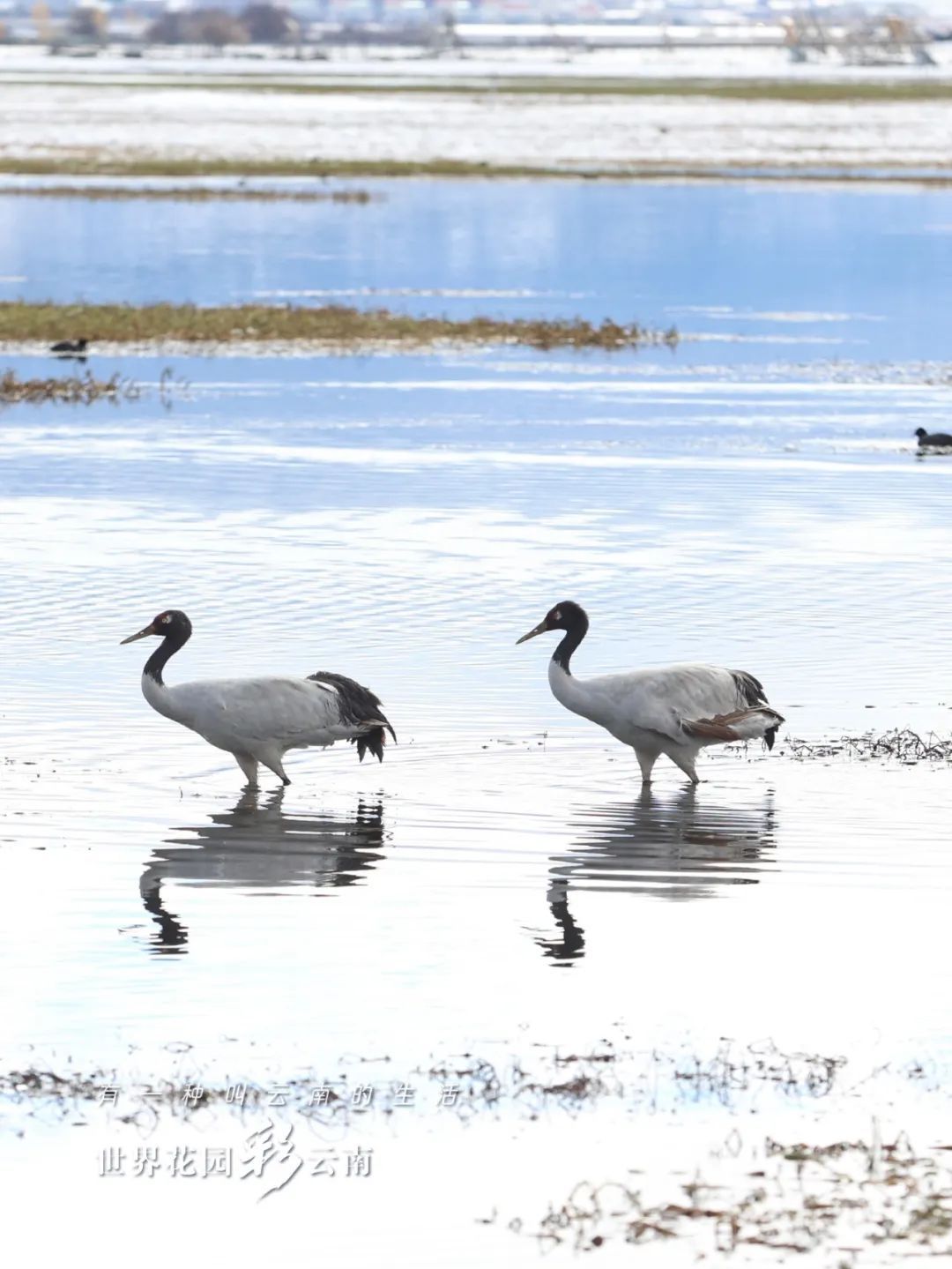 云南省文化和旅游厅