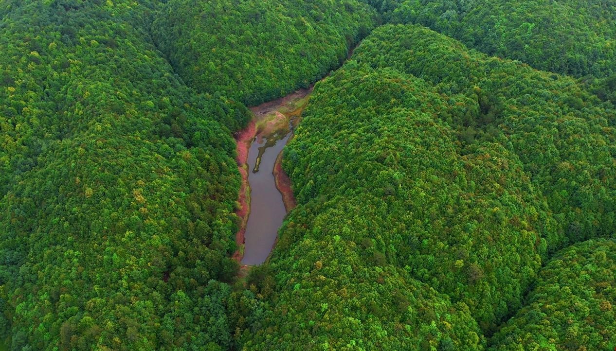 云南省文化和旅游厅
