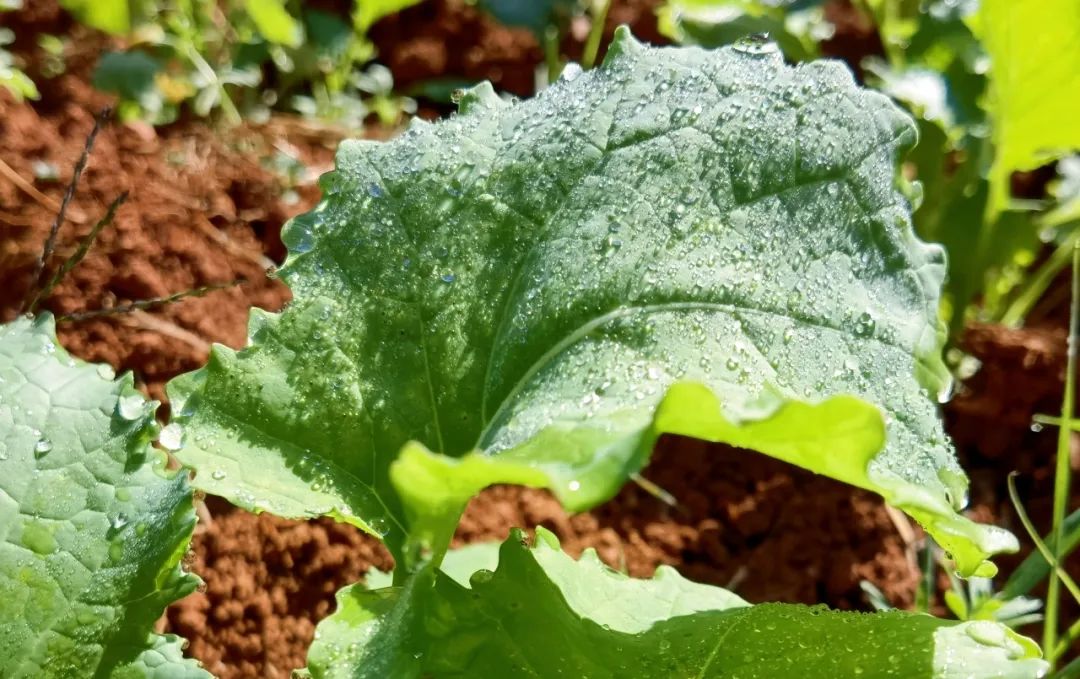 晋宁诗意的栖居地