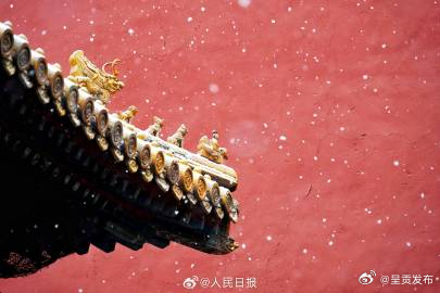 故宫白雪红墙的氛围感_http://www.mainten.cn_cns_第1张