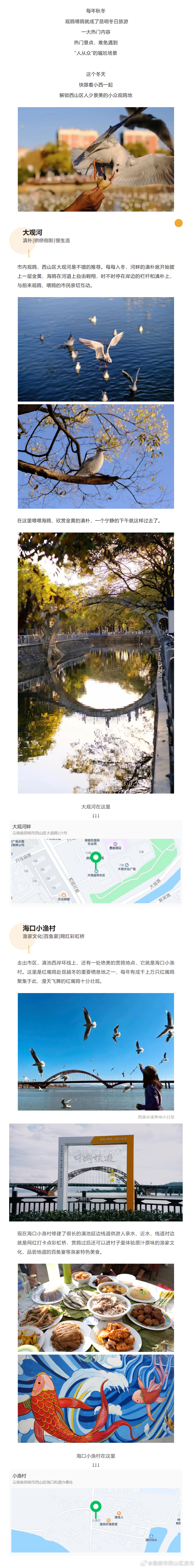 “鸥”遇美好！这份西山区小众观鸥地图请收好_http://www.mainten.cn_cns_第1张