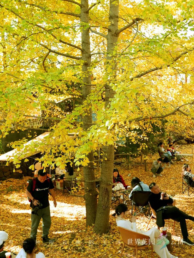 云南省文化和旅游厅