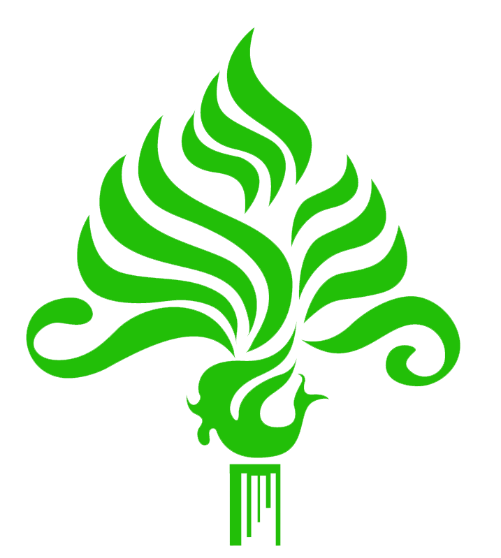 西双版纳望天树景区