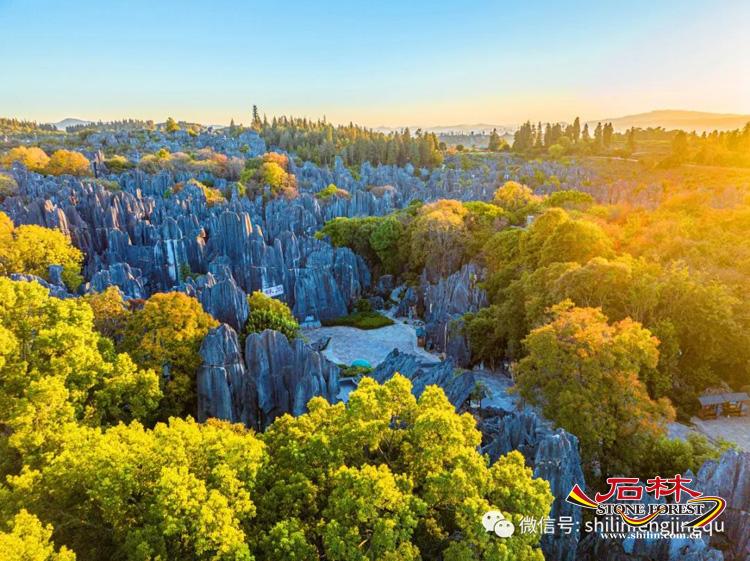 石林旅游网