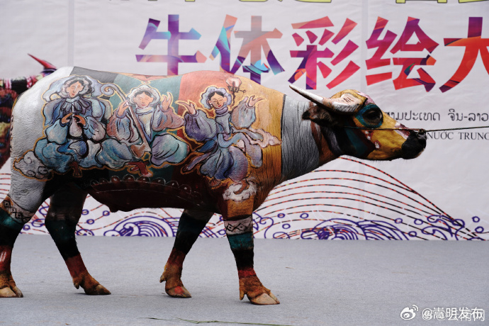 嵩明发布