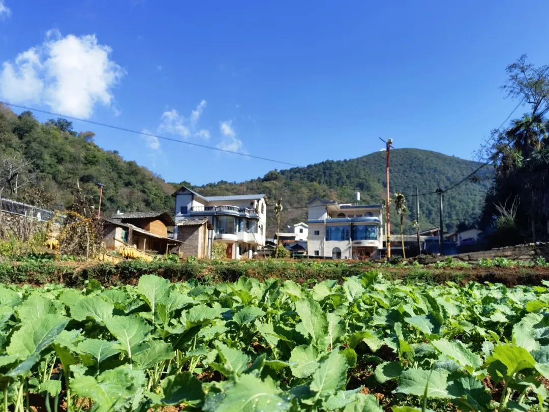 晋宁诗意的栖居地
