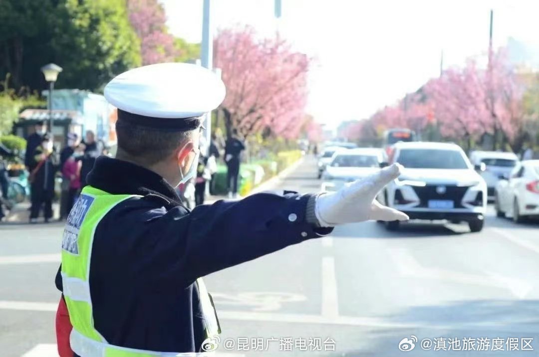 昆明观鸥哪“家”强？这份绿色出行指南快收好！