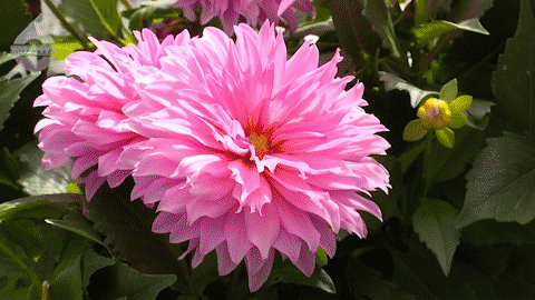 滇池旅游度假区