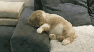 睡觉时抖一下是大脑没完全睡着