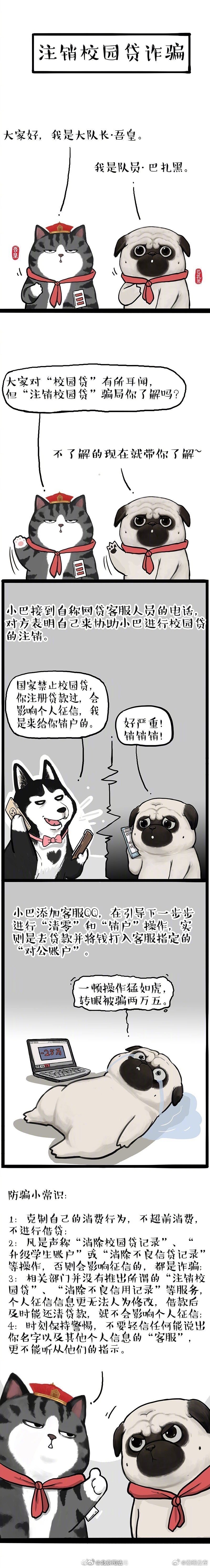嵩明发布