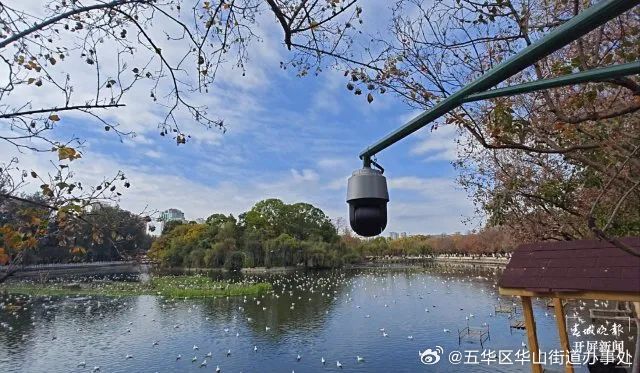 五华区华山街道办事处